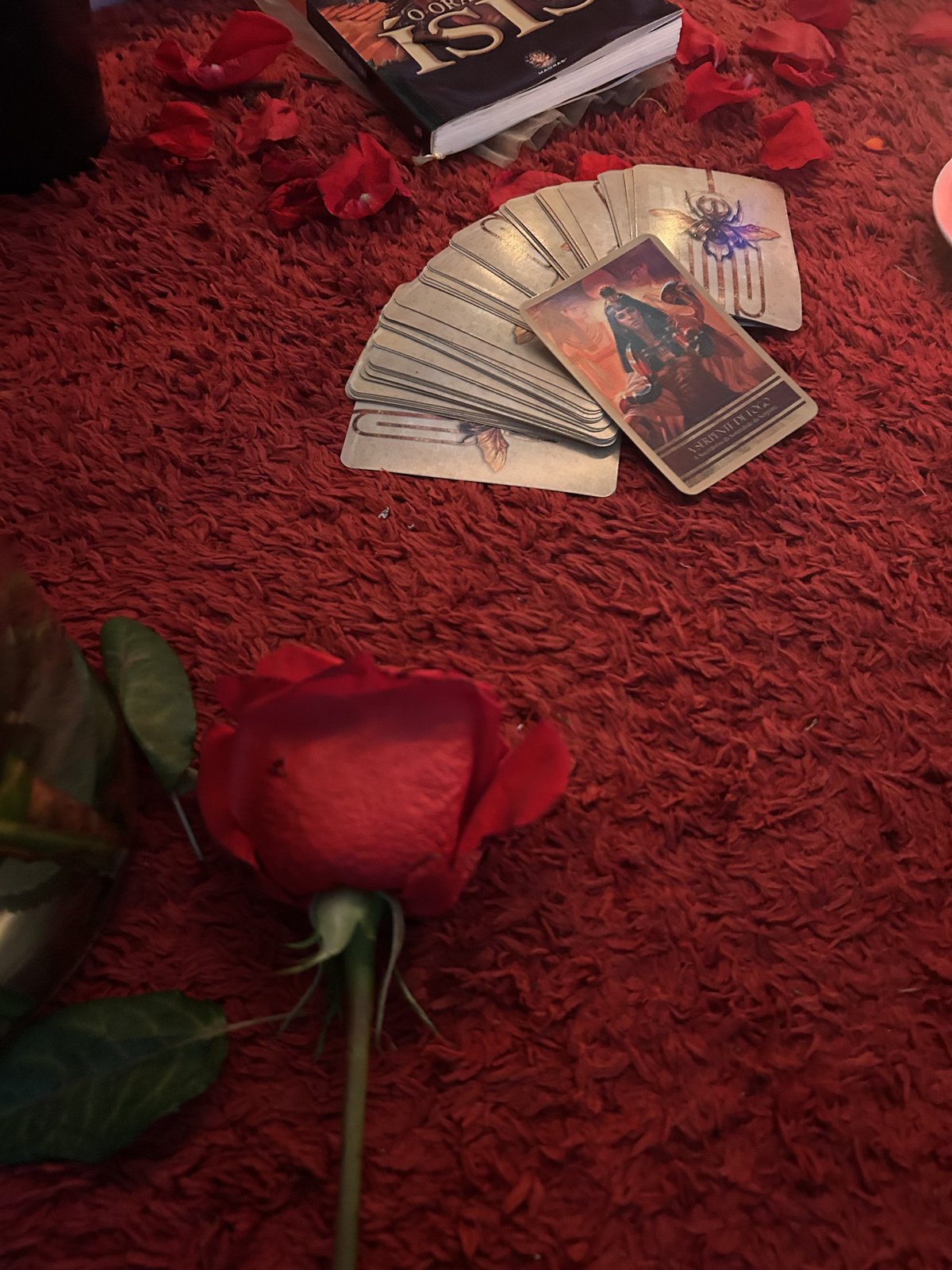 Baralho cigano estendido sobre tecido vermelho, com rosa